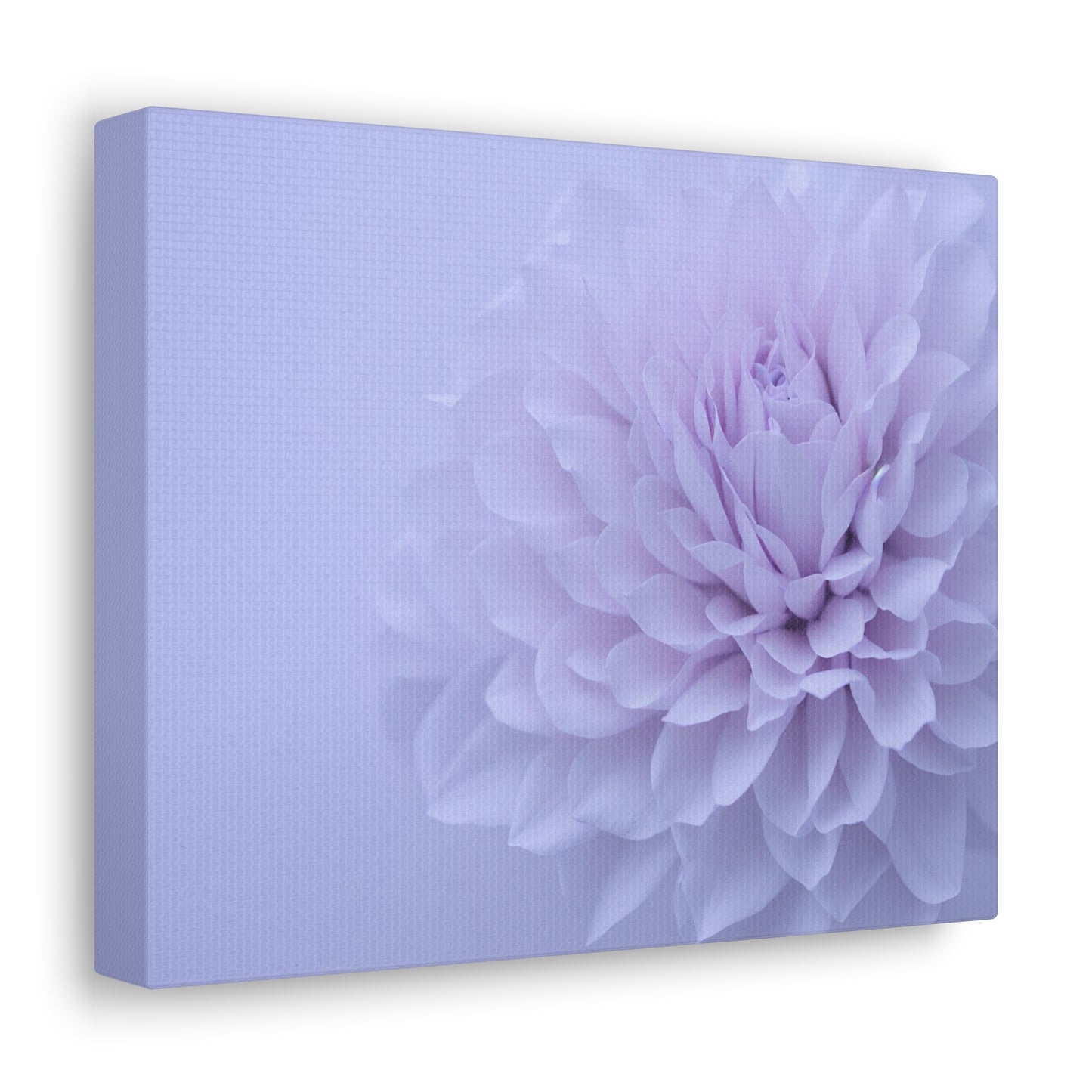 Soft Art White Flower canvas wrap around Soft pink and white print for a soft clean home decor Soft floral art canvas print for the bathroom