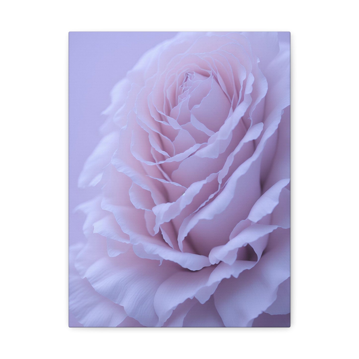 Soft Art White Flower canvas wrap around Soft pink and white print for a soft clean home decor Soft floral art canvas print for the bathroom