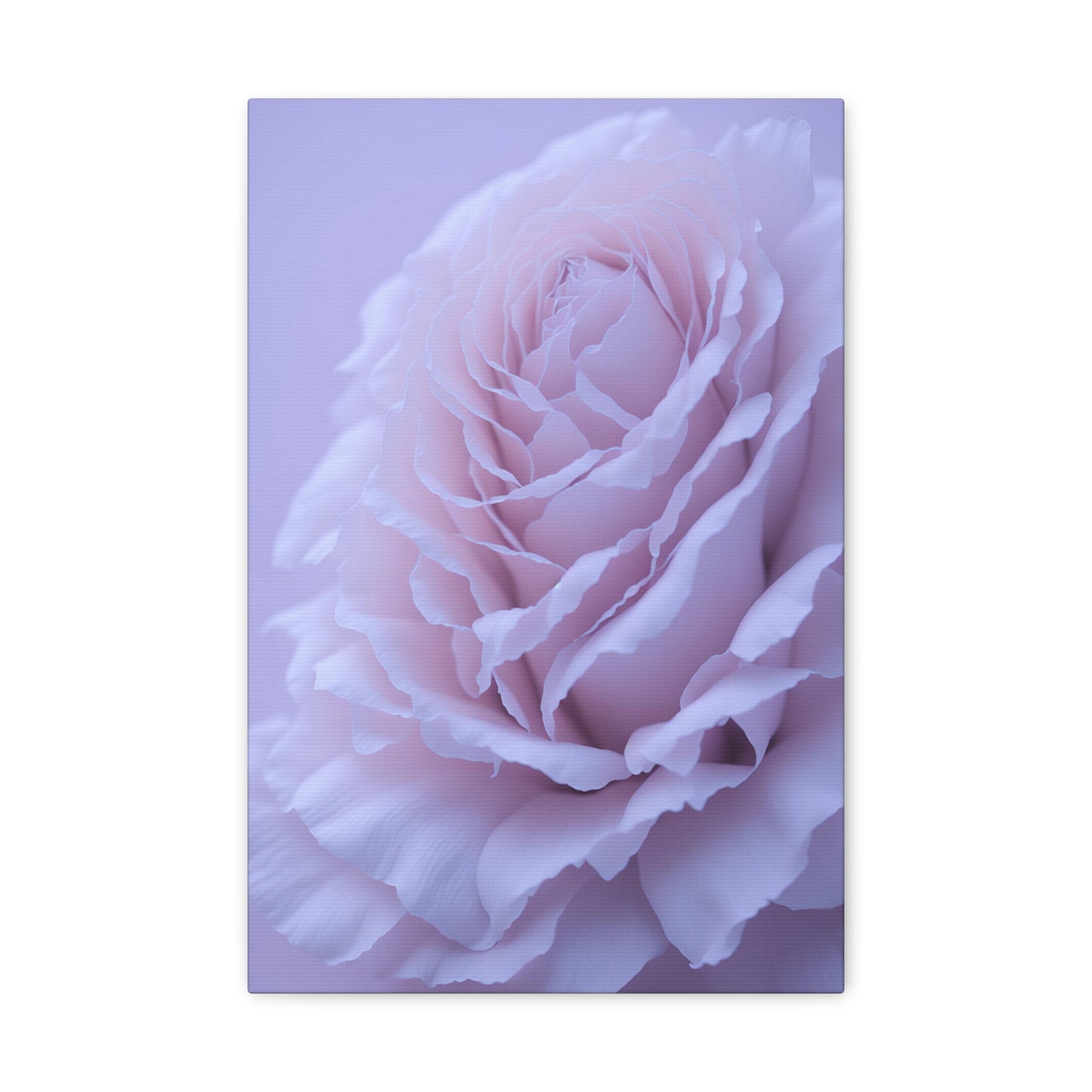 Soft Art White Flower canvas wrap around Soft pink and white print for a soft clean home decor Soft floral art canvas print for the bathroom