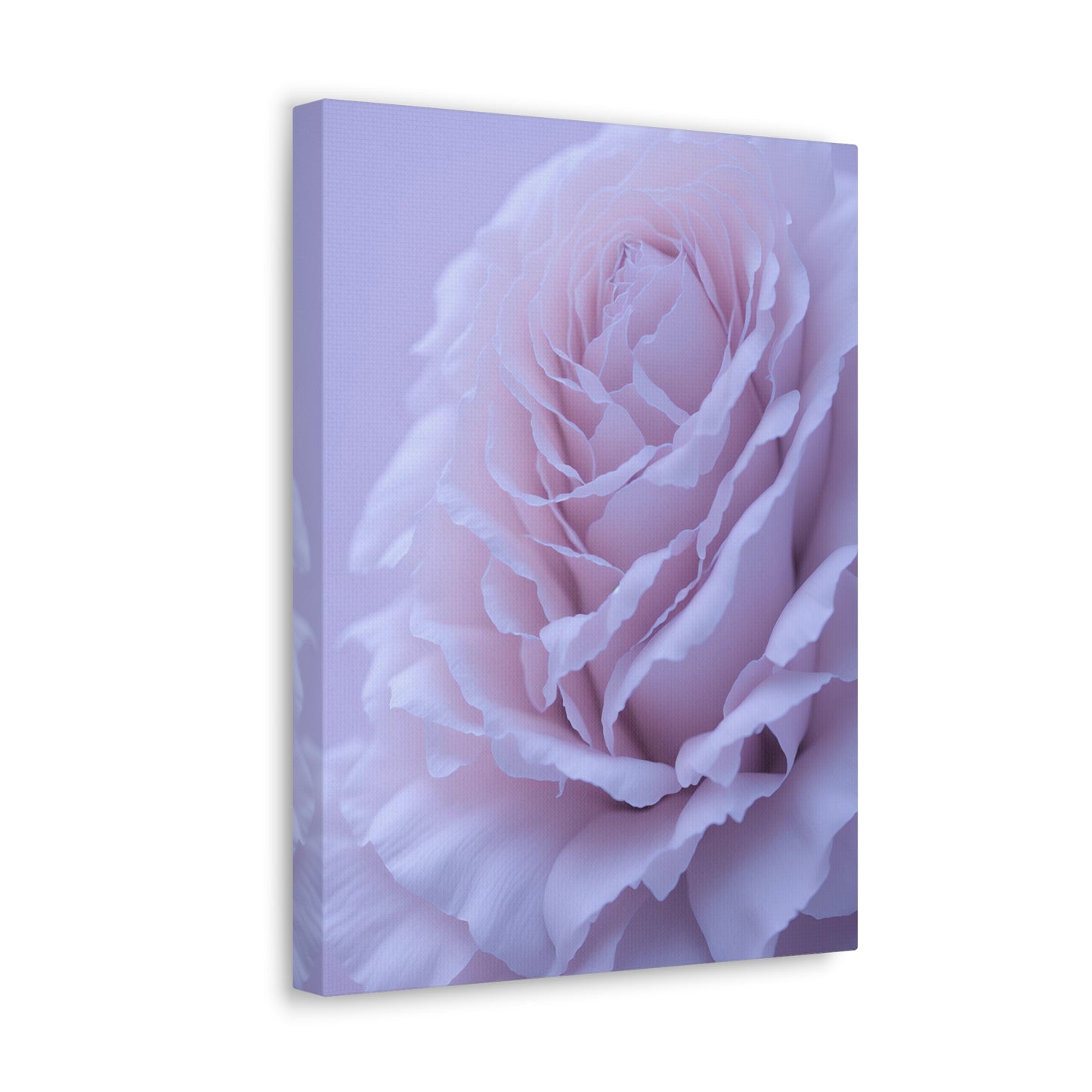 Soft Art White Flower canvas wrap around Soft pink and white print for a soft clean home decor Soft floral art canvas print for the bathroom