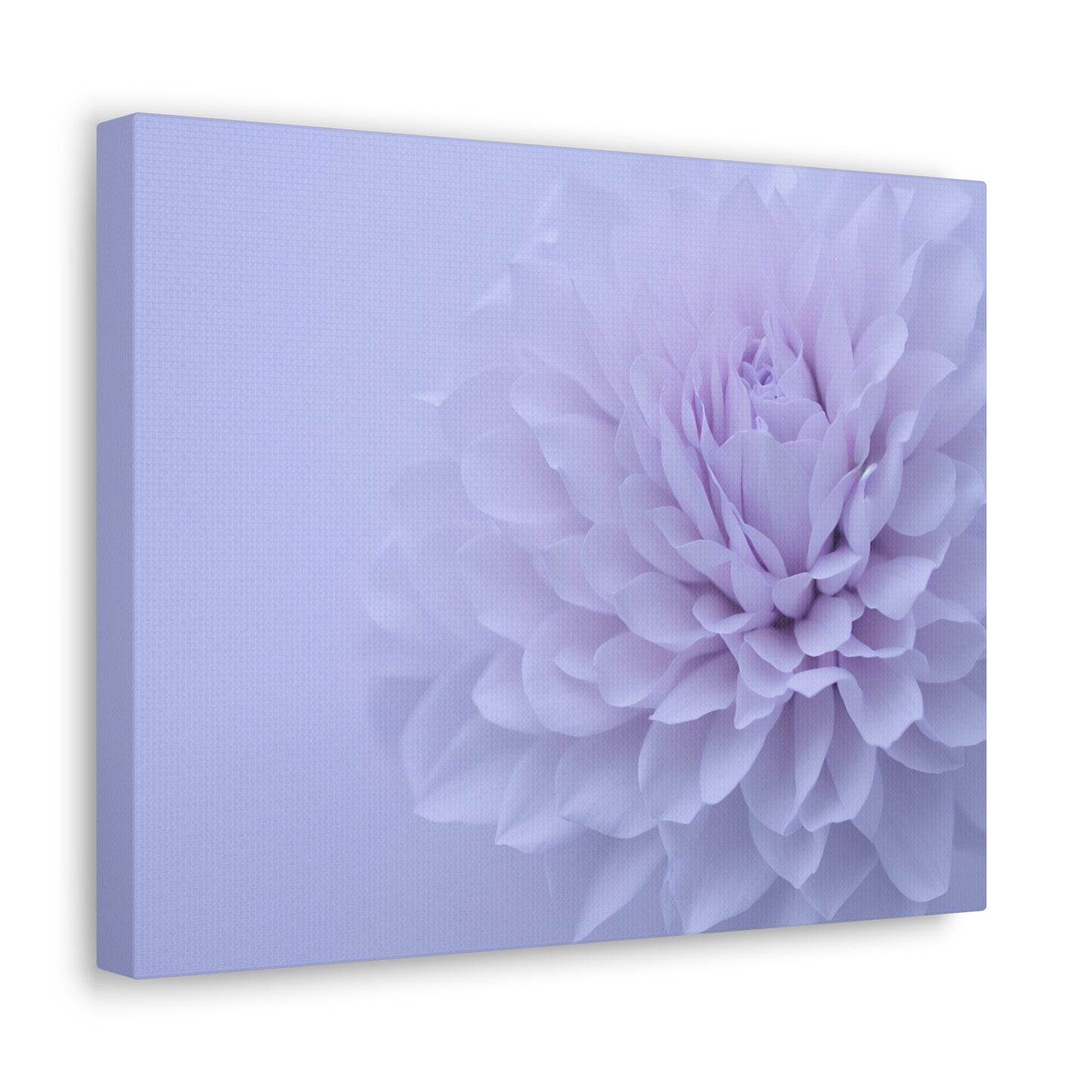 Soft Art White Flower canvas wrap around Soft pink and white print for a soft clean home decor Soft floral art canvas print for the bathroom