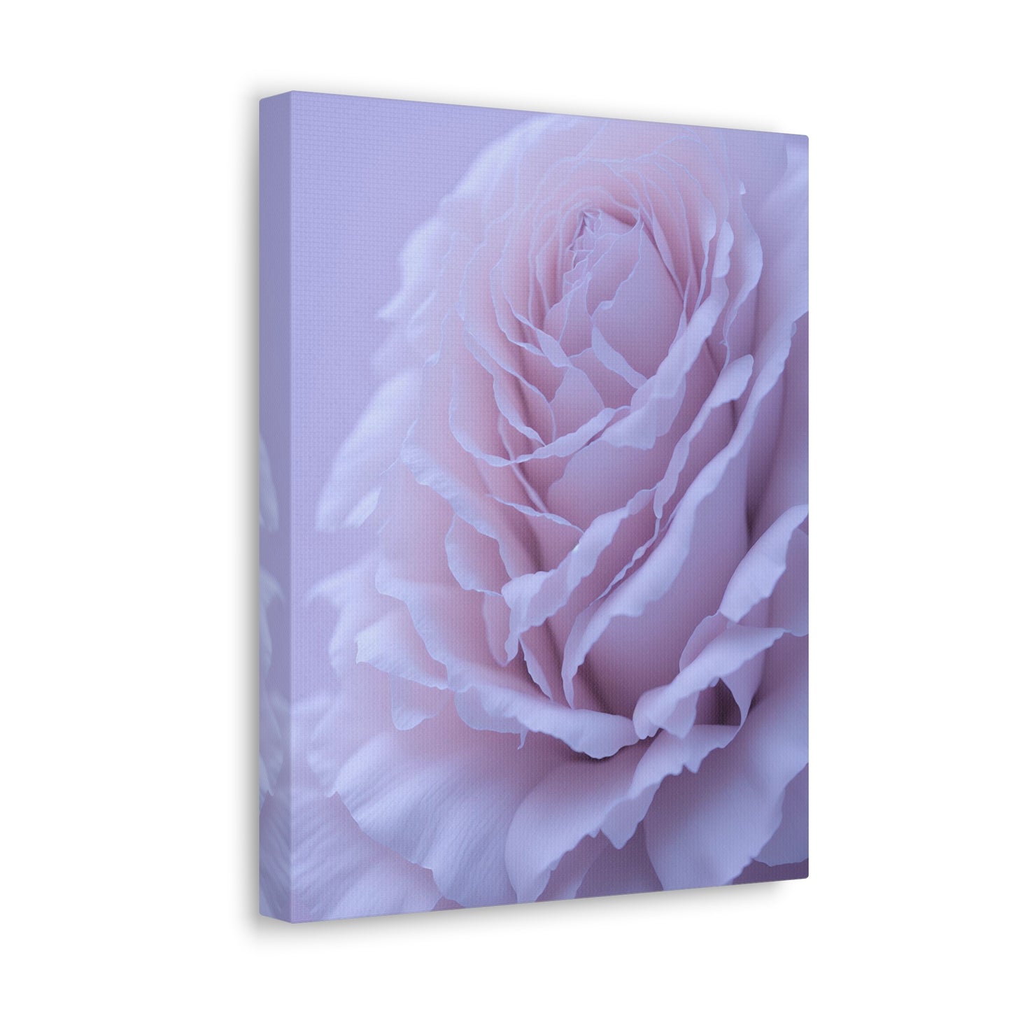 Soft Art White Flower canvas wrap around Soft pink and white print for a soft clean home decor Soft floral art canvas print for the bathroom