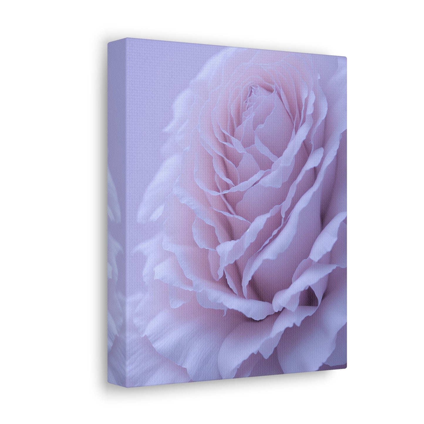 Soft Art White Flower canvas wrap around Soft pink and white print for a soft clean home decor Soft floral art canvas print for the bathroom